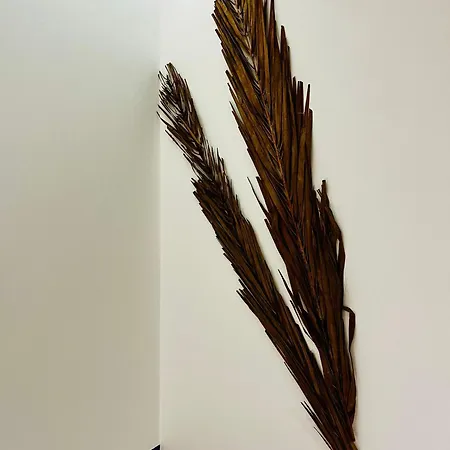 Apartamento Refugio Do Gato Palmela