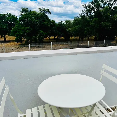 Apartamento Refugio Do Gato Palmela