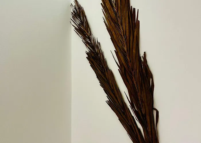 Apartman Refugio Do Gato Palmela