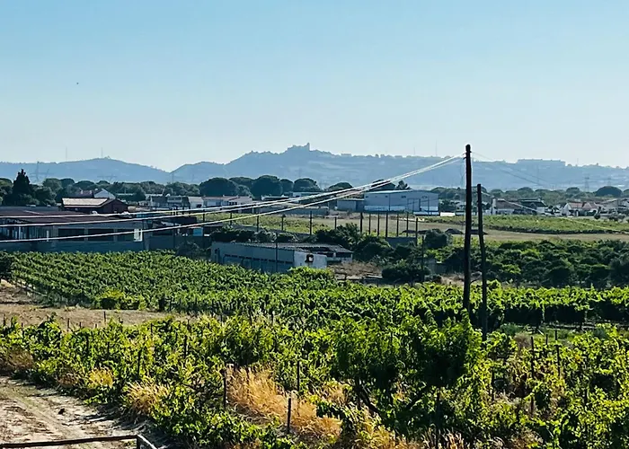 Refugio Do Gato Apartman