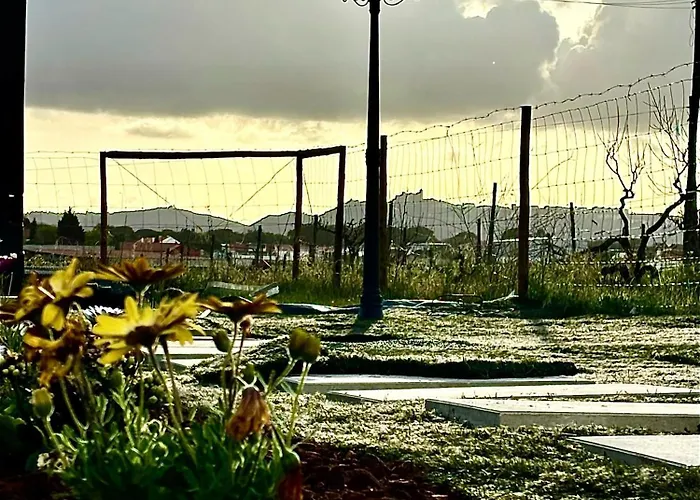 Refugio Do Gato Palmela